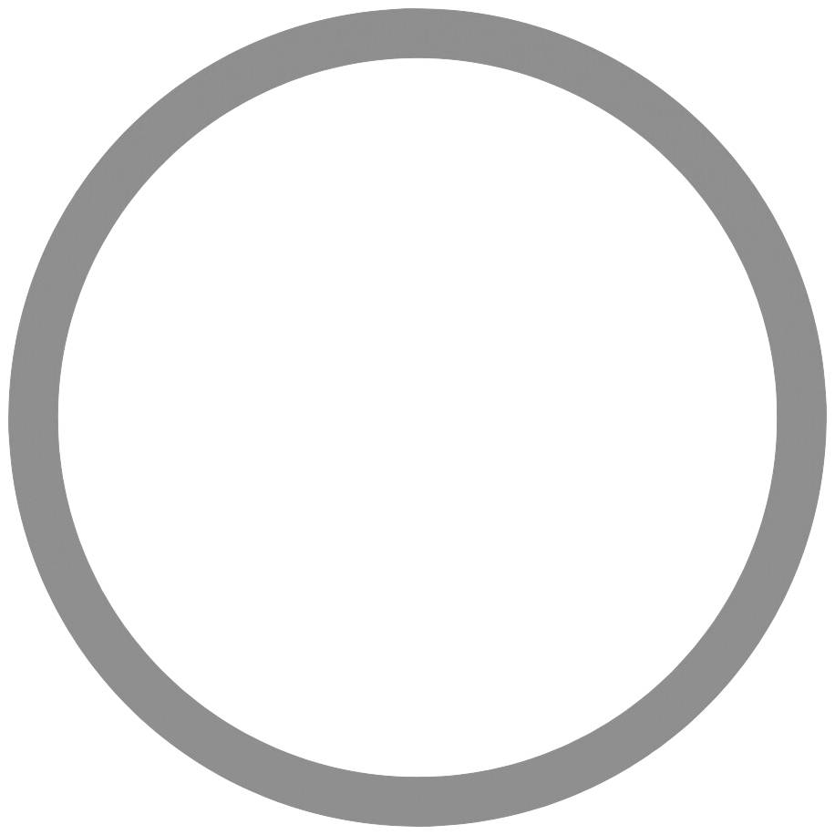 Een eenvoudige, grijze cirkel op een witte achtergrond.