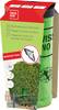 Swissinno Natural Control Tree Moth Trap 1 440 001K Buxusmotval Lokstof Groen 1 stuk(s)