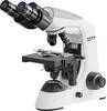 Kern OBE 132 OBE132 Doorlichtmicroscoop Binoculair 1000 x Doorvallend licht