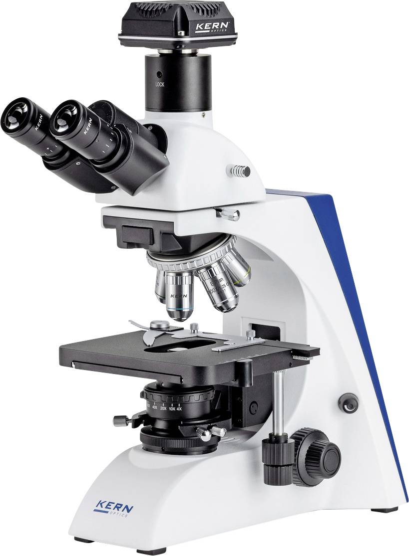 Microscoop met objectiefrevolver, grof- en fijnafstemming, en oculairs; staat op een stabiele witte voet.