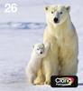 Epson Inktcartridge 26 Origineel Combipack Zwart, Cyaan, Magenta, Geel C13T26164511