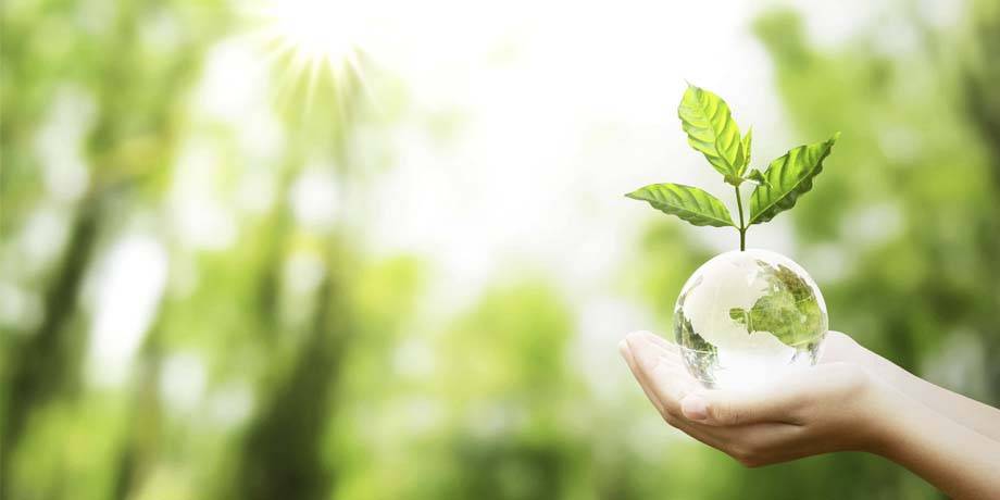 Een hand houdt een transparante bol vast met een groeiende plant, symboliseert milieubescherming en duurzame groei in het groen.