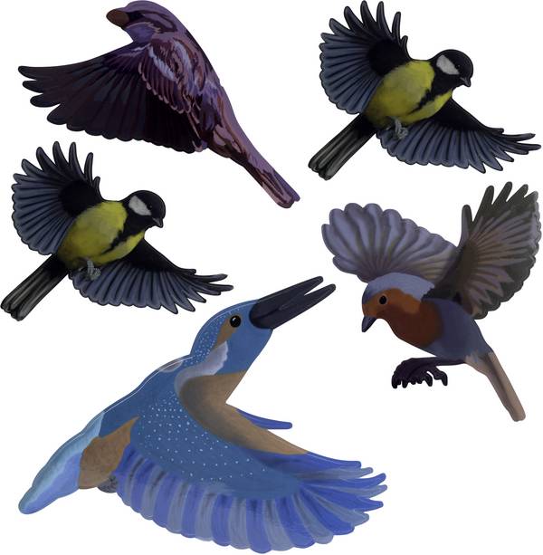 Gardigo Stickers Native Birds Raamsticker Functies: Afschrikking  1 stuk(s)
