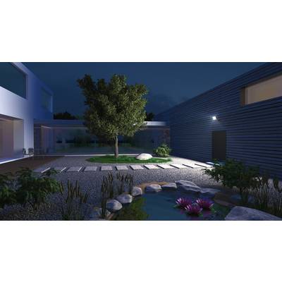 Een moderne binnentuin bij nacht, verlicht, met een boom in het midden en een kleine vijver vol waterlelies op de voorgrond.