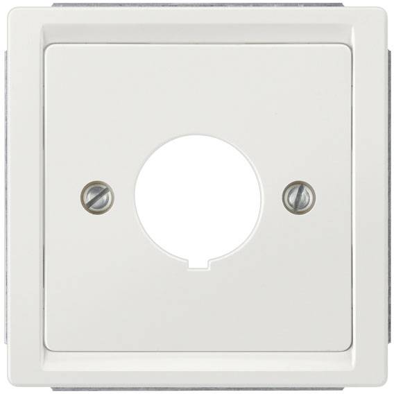 Siemens 5TG13331 Afdekking Delta style Platina Schakelmateriaal 1 stuk(s)