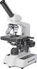 Bresser Optik 5102060 Erudit DLX Doorlichtmicroscoop Monoculair 600 x Doorvallend licht