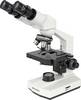 Bresser Optik 5102200 Erudit Basic Bino Doorlichtmicroscoop Binoculair 400 x Doorvallend licht