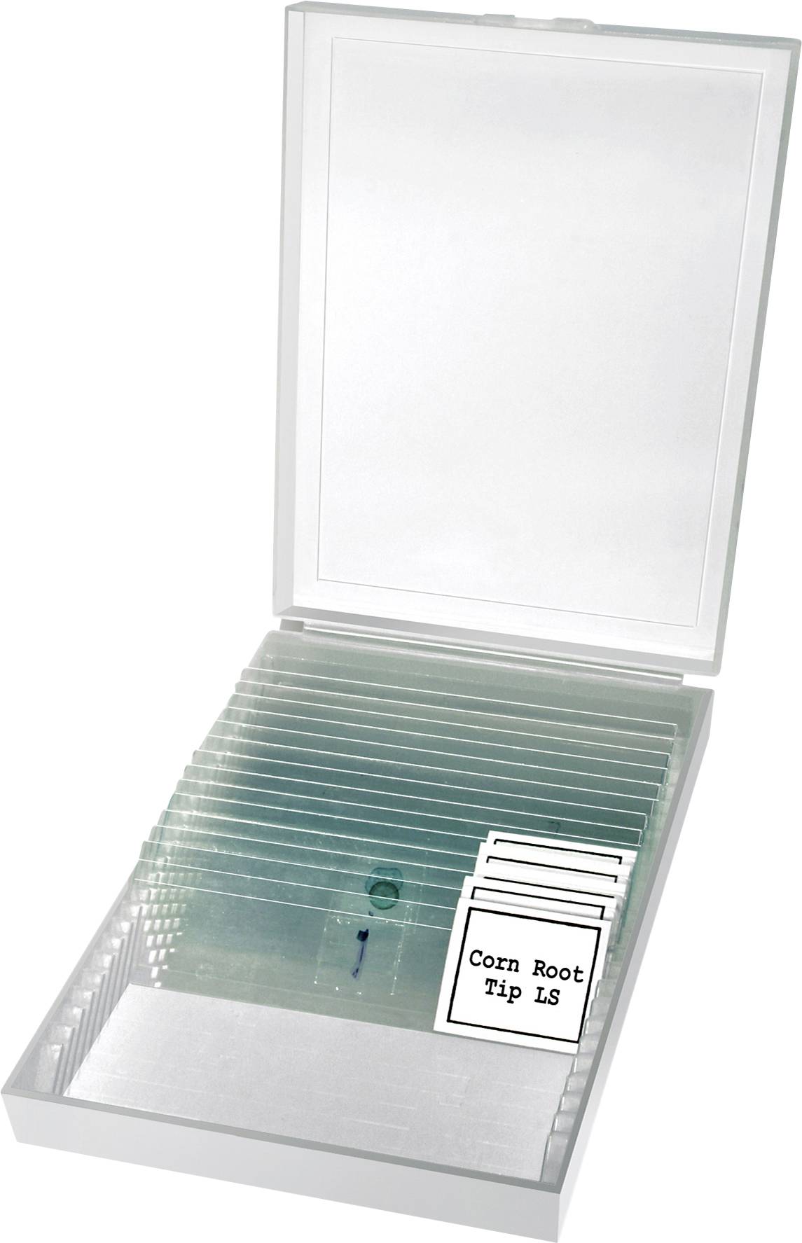 Een geopende doos met verschillende microscoopobjectglaasjes. Op de objectglaasjes staat 'Corn Root Tip LS', wat de inhoud aanduidt.