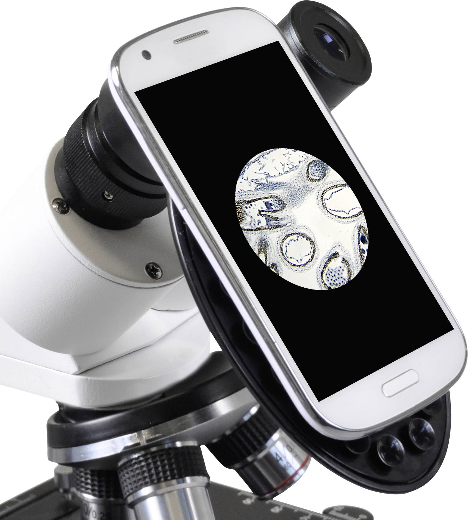 Een smartphone is aangesloten op een microscoop. Op het scherm wordt een vergrote afbeelding van cellen weergegeven.