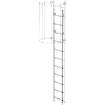 Zilveren aluminium ladder met veiligheidskooi en meerdere sporten, geschikt voor industriële toepassingen en het bereiken van hoge plaatsen.