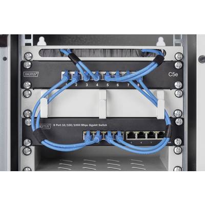 Netwerk-switch in de kast toont acht aangesloten blauwe Ethernet-kabels. Opschrift luidt '8 Poorts 10/100/1000 Mbps Gigabit Switch'.