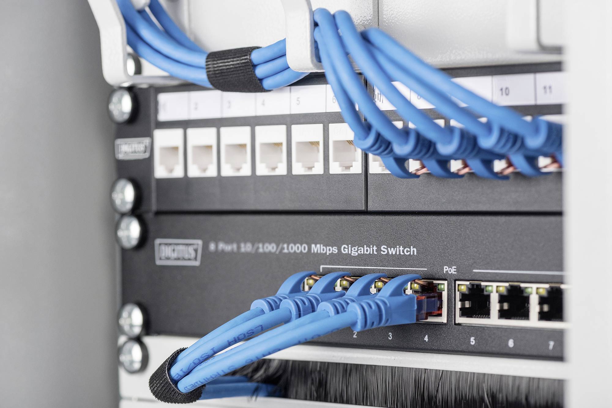 Close-up van een netwerk-switch aangesloten met blauwe Ethernet-kabels. Poorten zijn genummerd, en de schakelcapaciteit bedraagt tot 1000 Mbps.