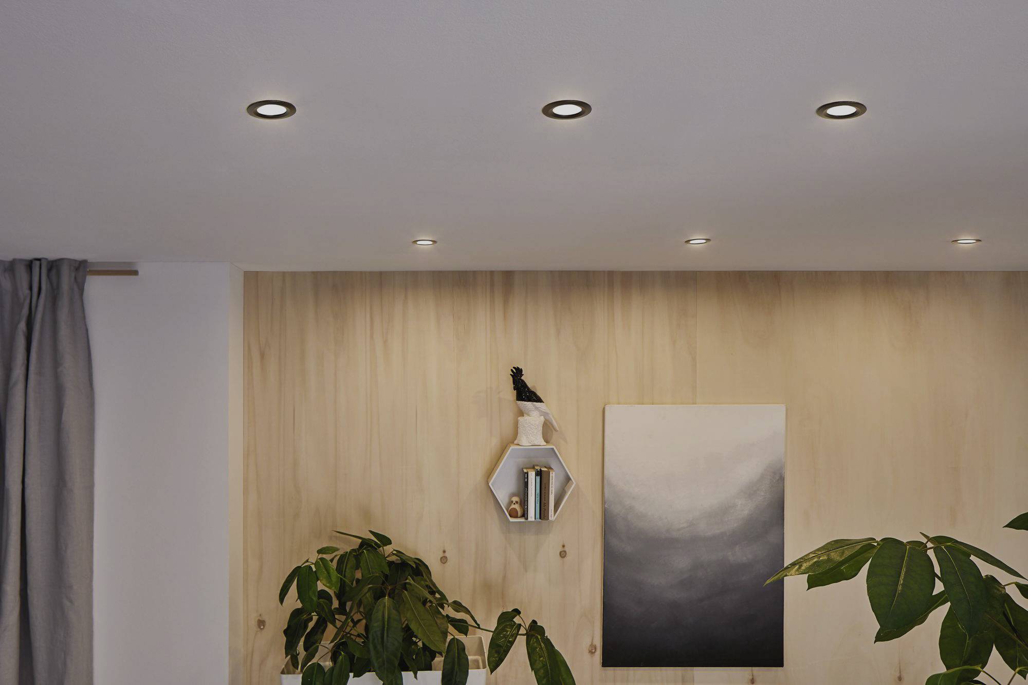 Een moderne woonruimte met een houten wand, planten, een kunstwerk en planken met kleine decoratie-items. Zes plafondlampen verlichten de ruimte.