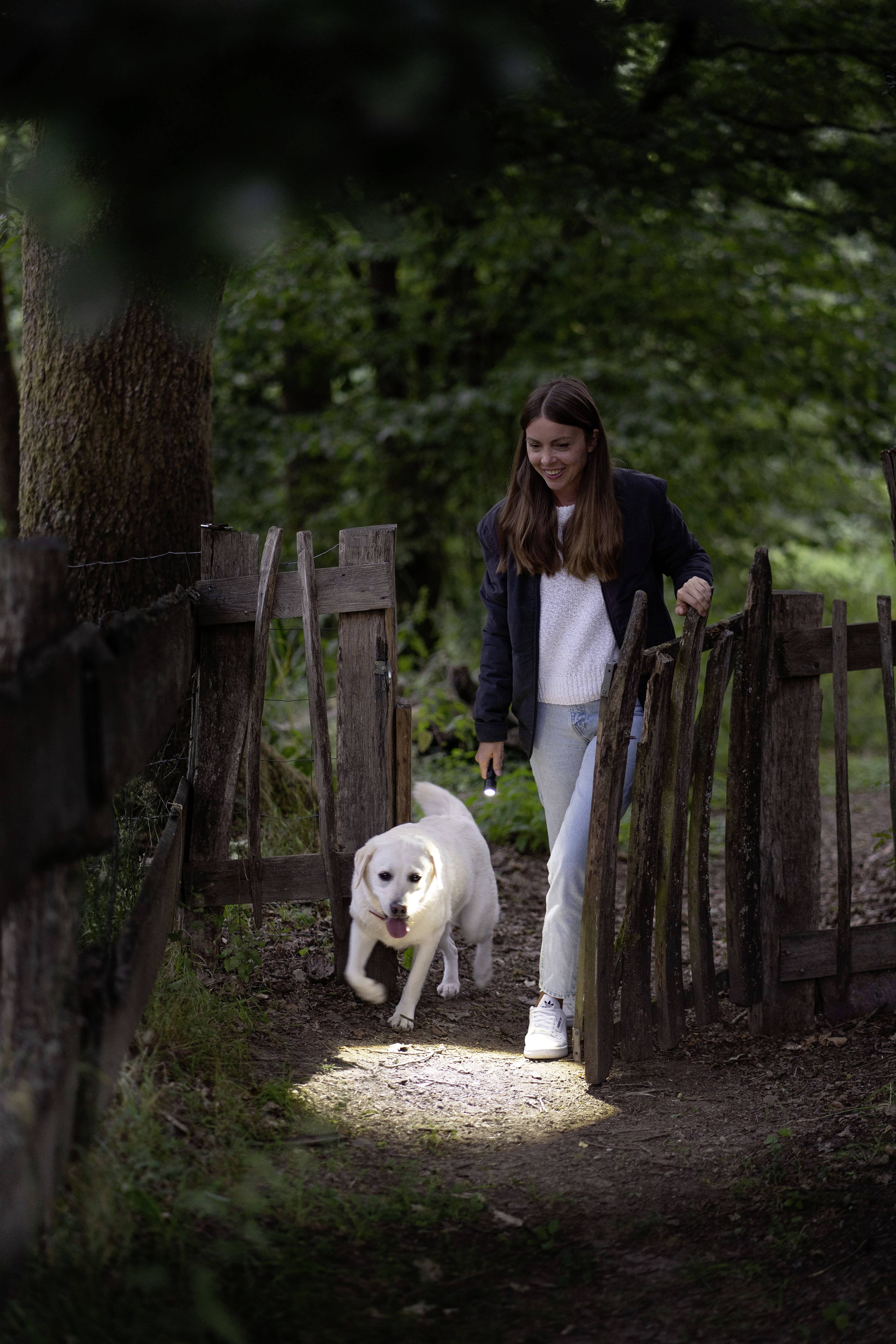 Vrouw wandelt met een hond in het bos, beiden lijken ontspannen en genieten van de natuur. Houten lattenhek en bomen op de achtergrond.
