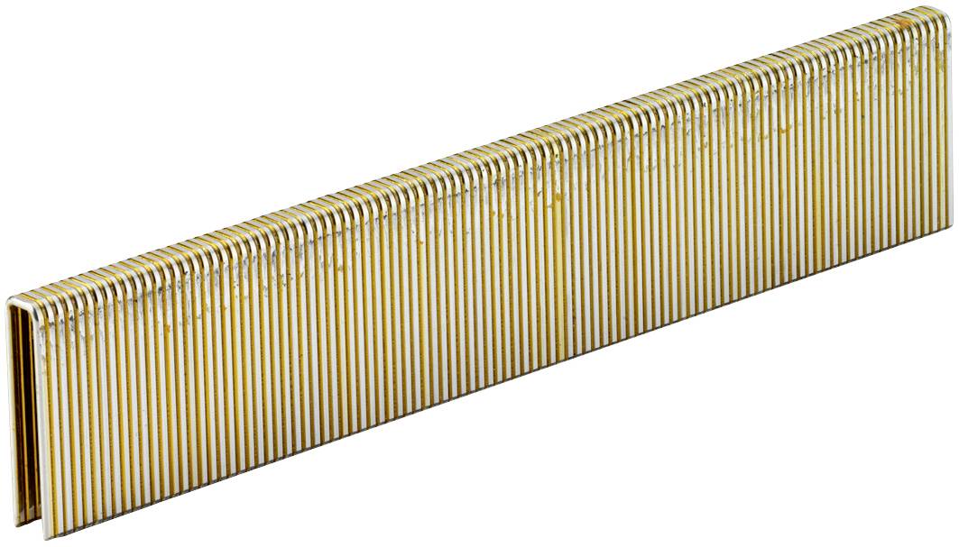 Een rij paperclips, nauw aaneengesloten, met een gouden coating.