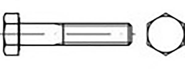 TOOLCRAFT TO-6857688 Zeskantbout M20 290 mm Buitenzeskant DIN 931 Staal Gelamelleerd gecoat 1 stuk(s)