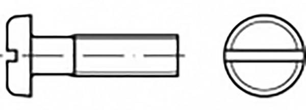 TOOLCRAFT TO-6866811 Platkopschroeven M6 30 mm Sleuf RVS V4A A4 100 stuk(s)
