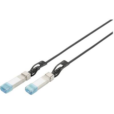 'Twee SFP-modules met blauwe doppen en zwarte kabels worden naast elkaar getoond.'