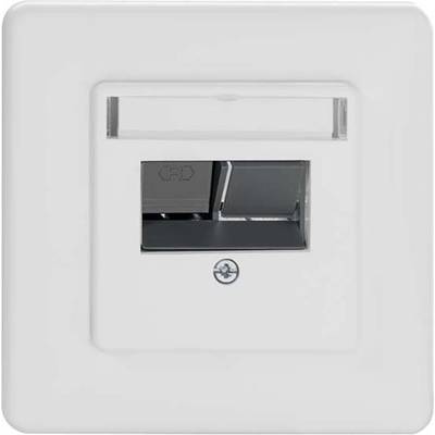 Enkele Ethernet-aansluiting in een witte wandplaat, geschikt voor een netwerkaansluiting in kantoren of woningen.