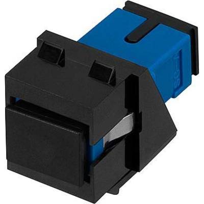 Blauw-zwarte RJ45-CAT6-keystone-stekker, rechthoekige vorm, geschikt voor het verbinden van netwerkkabels in gestructureerde bekabelingssystemen.