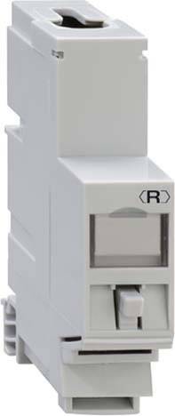 Rutenbeck UM-Cat.6A iso-REG REG-montageadapter UM-Cat.6A iso-REG 13910200 1 stuk(s)