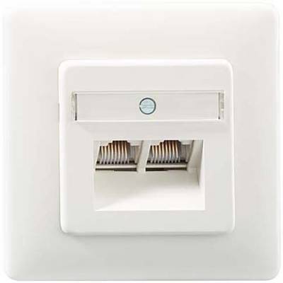 Wandcontactdoos met twee Ethernet-poorten in wit frame, geschikt voor wandmontage.