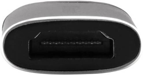 Kleine, ovale stekkerverbinding met een zwarte binnenkant en zilveren buitenrand, vergelijkbaar met een USB-C-aansluiting.