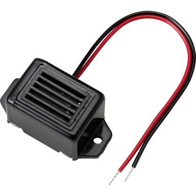 Zwarte elektrische zoemer met twee gestripte kabels, één rood en één zwart.