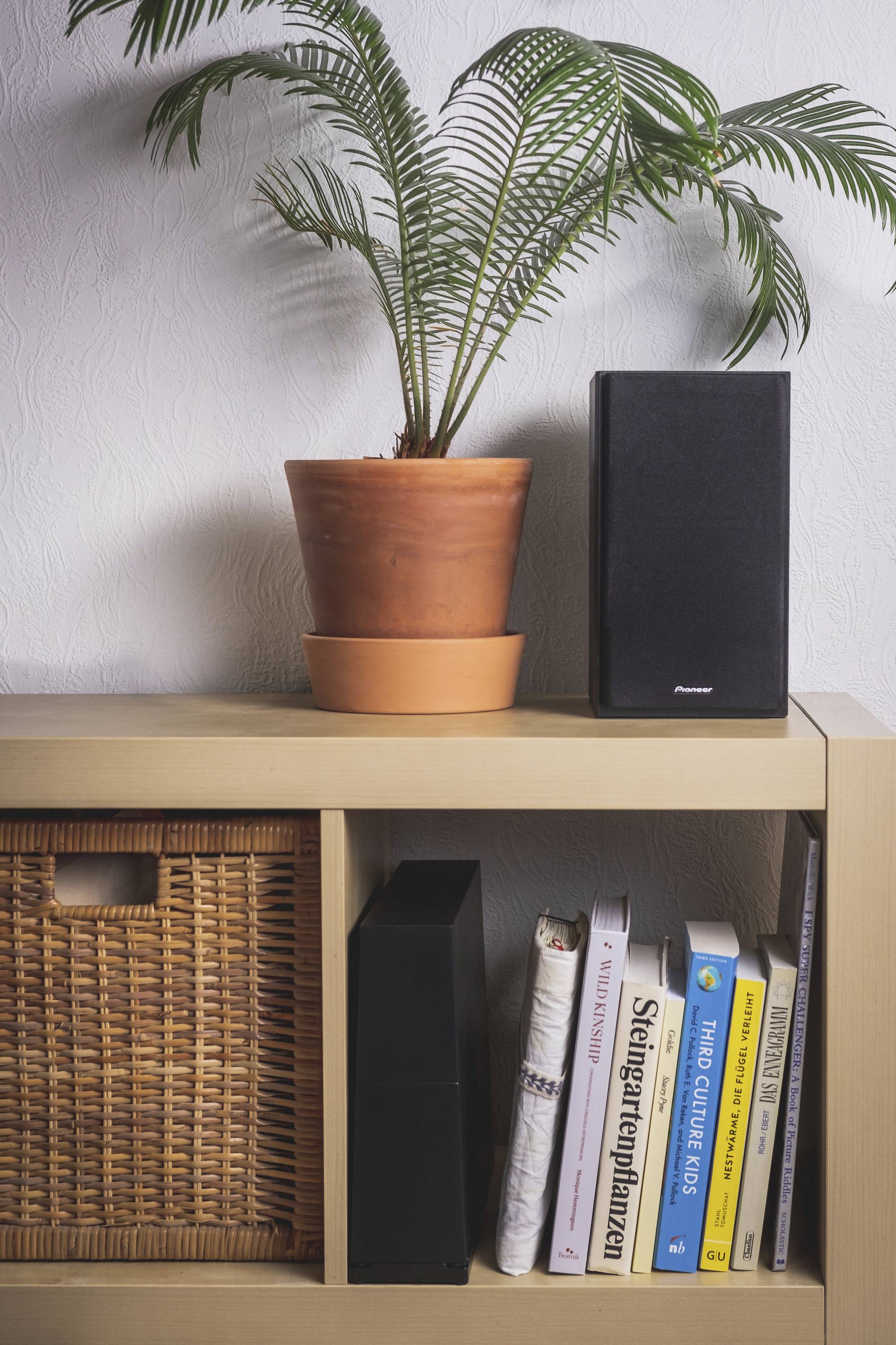 Een houten boekenplank met een gevlochten mand, boeken en een zwarte luidspreker. Bovenaan staat een palm in een terracotta pot.