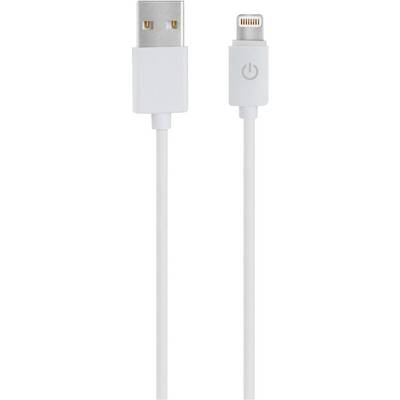 Wit USB-kabel, links USB-A-stekker, rechts Lightning-stekker, rechtop naast elkaar geplaatst.