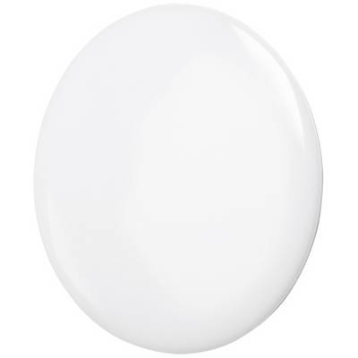 Een gladde, glanzende witte ovale oppervlakte, mogelijk een modern designobject of onderdeel van een apparaat.