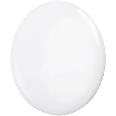 Een ovale, gladde en glanzende witte oppervlakte.