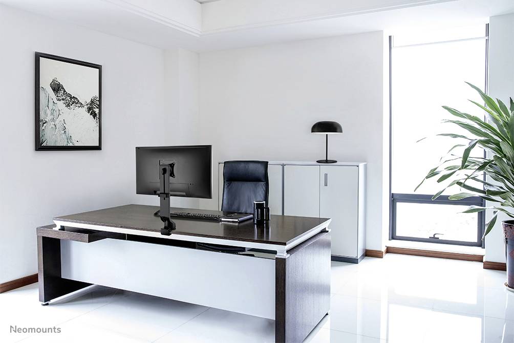 Een modern kantoor met een bureau, een computerscherm, een zwarte stoel, een kast en een grote plant.