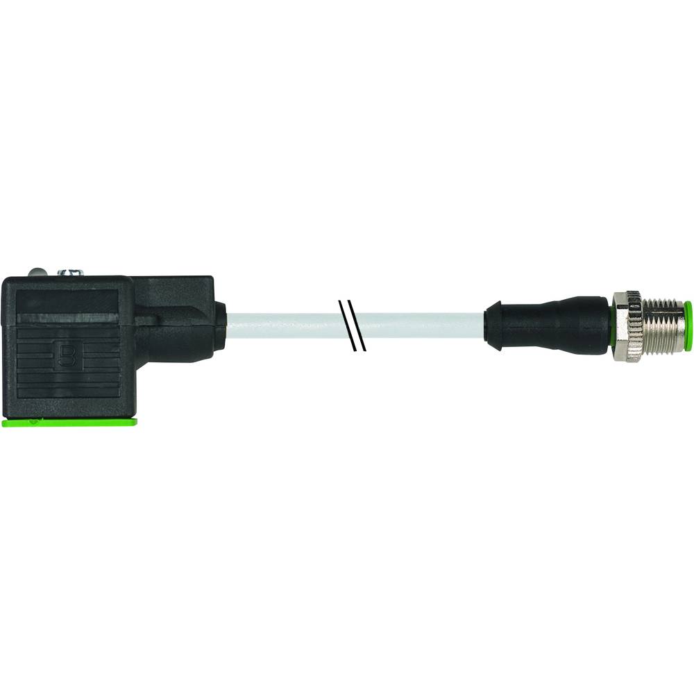 Murr Elektronik Murr Elektronik 7000-40881-2260030 Klepstekker met aangegoten kabel Grijs Inhoud: 1 stuk(s)