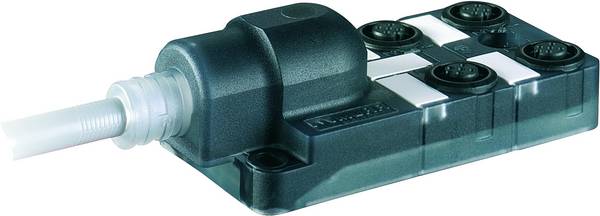 Murrelektronik 8000-84410-3331500 Passieve sensor/actorbox M12-verdeler met kunststof schroefdraad 1 stuk(s)