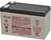 EnerSys Hawker Longlife DataSafe HX Loodaccu 12 V 7.6 Ah Loodvlies (AGM) (b x h x d) 151 x 100 x 65 mm Kabelschoen 6.35 mm Onderhoudsarm, Geringe zelfontlading