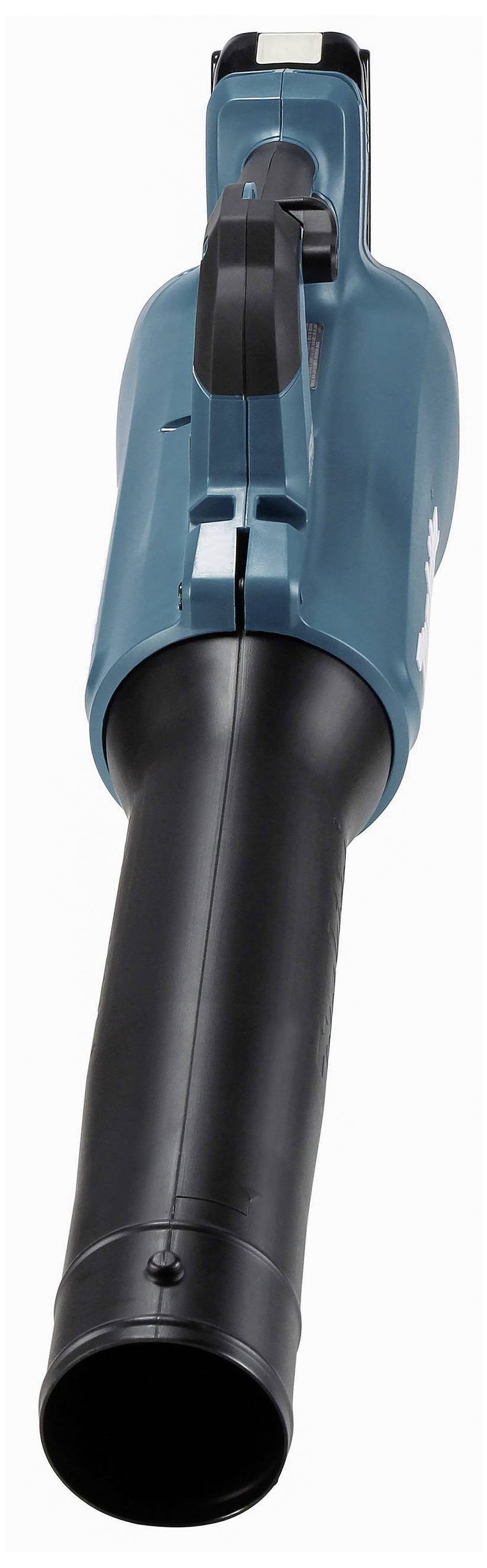 Bladblazer in het blauw met een zwarte buis, vooraanzicht. Apparaat voor het verwijderen van bladeren in de tuin of op paden.