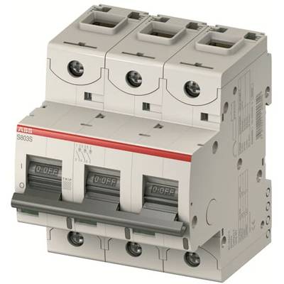 ABB 2CCS893001R0805 S803N-B80 Zekering 3-polig