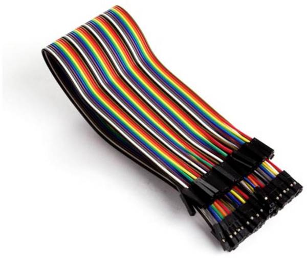 Whadda WPA415 Jumperkabel  [40x Draadbrug-bus - 40x Draadbrug-bus] 30.00 cm Bont