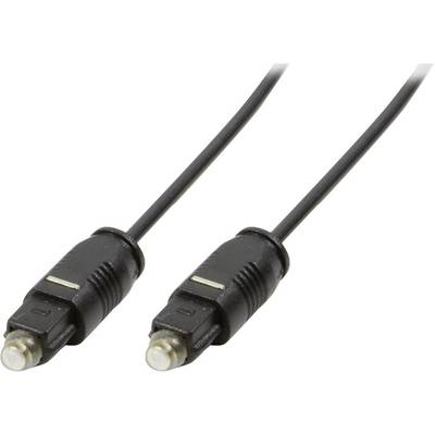 Twee zwarte optische audiokabels met Toslink-connectoren.