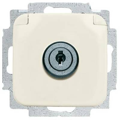 Een witte lichtschakelaar met slot, ingebouwd in een metalen bevestiging. Hoofdfunctie: lichtbediening en toegangscontrole.