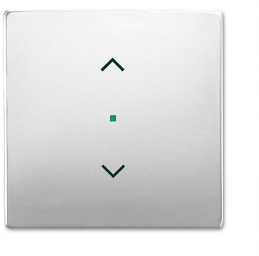 Busch-Jaeger 1-voudig Afdekking free@home RVS 2CKA006220A0415