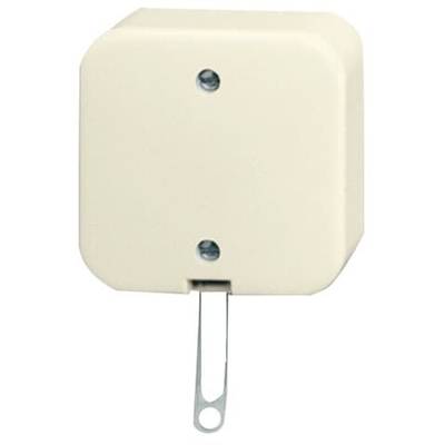 ABB 2CKA001343A0136 Schakelaar IP20 Parel-wit, Crème-wit