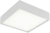 ECO-Light LED-KLIO-Q21 LED-KLIO-Q21 LED-plafondlamp LED 36 W Wit