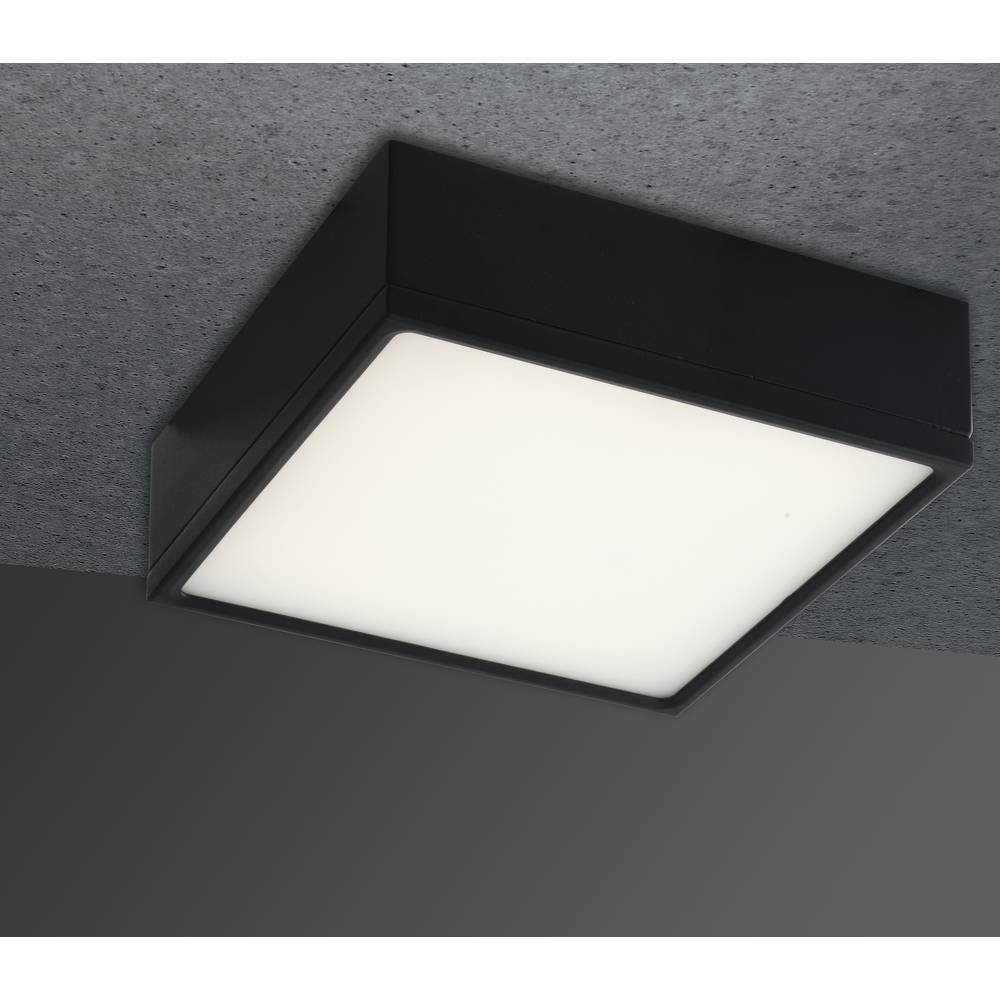 ECO-Light LED-KLIO-Q11 NER LED-KLIO-Q11 NER Plafondlamp LED 16 W Zwart