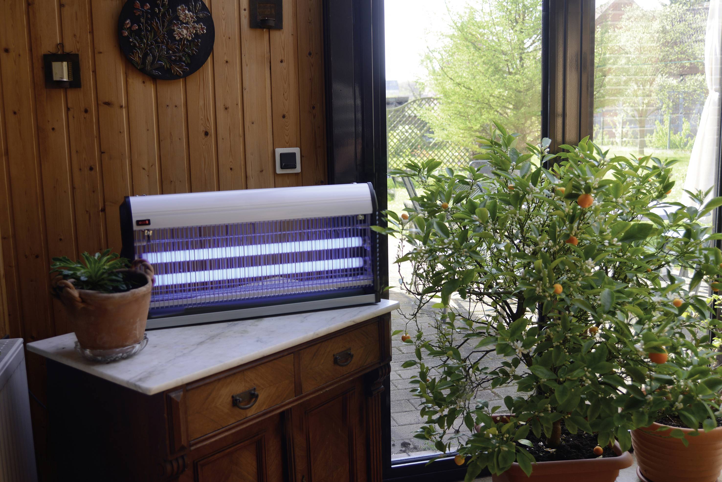 Een insectenlamp staat op een houten kast naast een bloeiende sinaasappelboom in een zonnige ruimte met grote ramen.