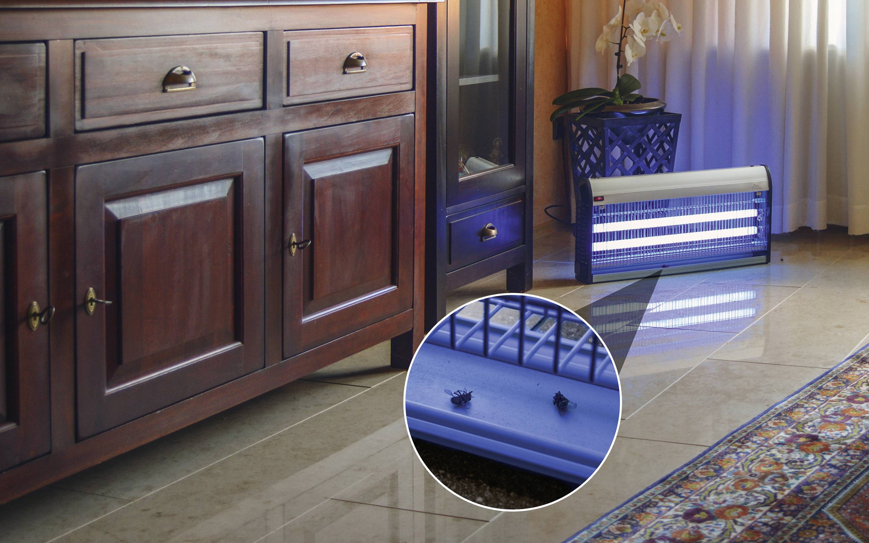 Een elektrische muggendoder staat op de grond naast een ladenkast. Close-up toont twee dode insecten op de val.