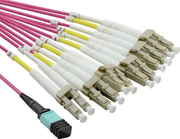 VALUE MPO Fanout Kabel 50/125µm OM4, MPO/12x LC, violet, 2 m