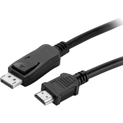 Twee kabels: Links een DisplayPort-connector, rechts een HDMI-connector. Beide zijn zwart en bedoeld voor digitale video- en audiosignalen.