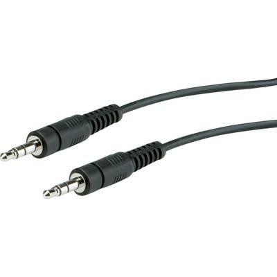 Twee zwarte audiokabels met 3,5-mm-jackstekkers aan beide uiteinden.